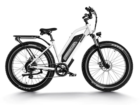 Long Range All Terrain Step Thru Electric Bike Cruiser