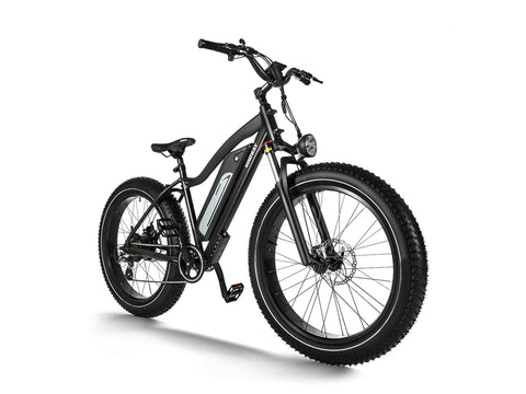 Long Range Fat Tire Electric Bike Cruiser