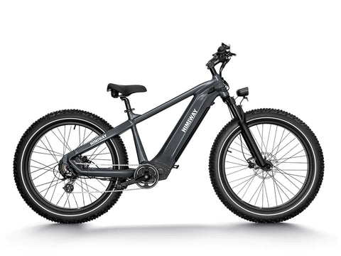 Premium All-terrain Electric Fat Bike Zebra