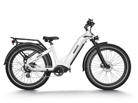 Premium All-terrain Electric Fat Bike Zebra – ekoCycle